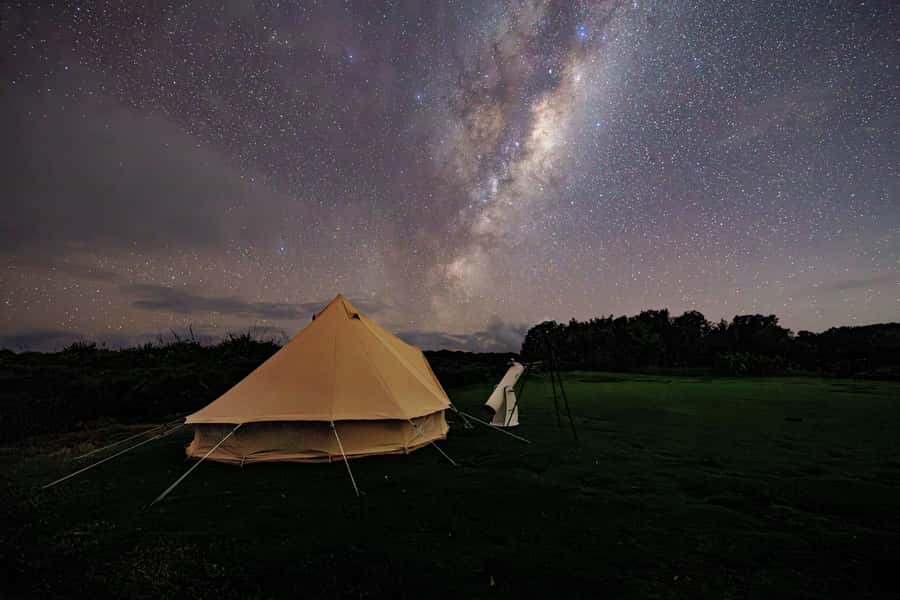 Auckland (Tawharanui): Wild Kiwi Bird Spotting Encounter - What to wear for a dark coastal night