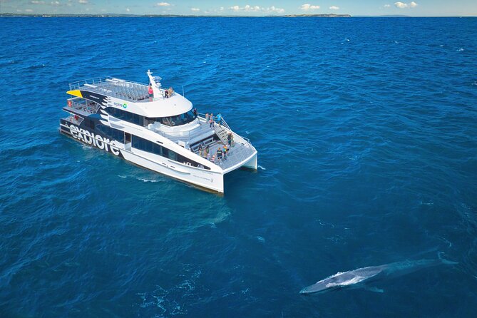 Auckland: Tikapa Moana Dolphin, Whale and Island Cruise - Auckland’s long day in the Hauraki Gulf