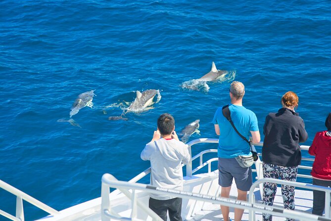 Auckland: Tikapa Moana Dolphin, Whale and Island Cruise - Choosing Man O’ War Vineyards on Waiheke Island