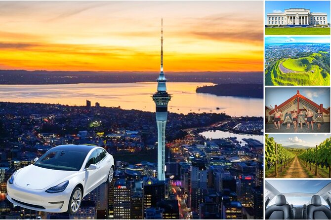 Auckland: Tikapa Moana Dolphin, Whale and Island Cruise - What the $105.50 price really covers