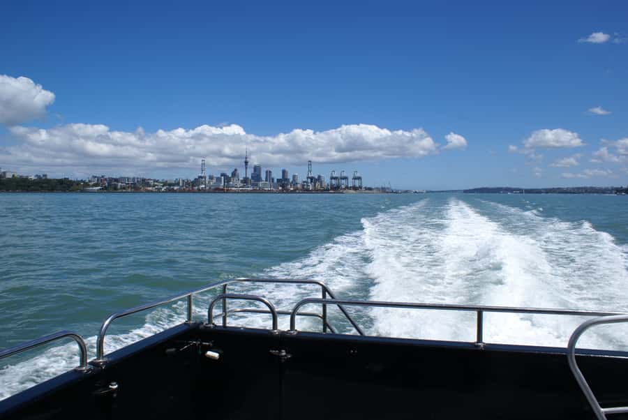 Auckland: Tikapa Moana Whales, Dolphins and Islands Cruise - Man O’ War Vineyard: wine, lunch, and a tighter schedule