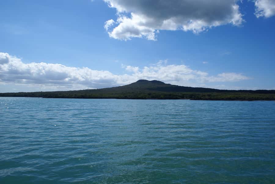 Auckland: Tikapa Moana Whales, Dolphins and Islands Cruise - What the $92 price really buys