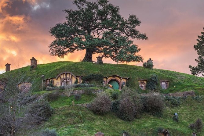 Auckland to Hobbiton Movie Set and Rotorua's Geothermal Valley - What the small-group format adds