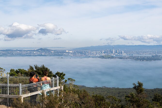 Auckland to Rangitoto Island Ferry - Rangitoto’s volcanic cone rises straight from the gulf