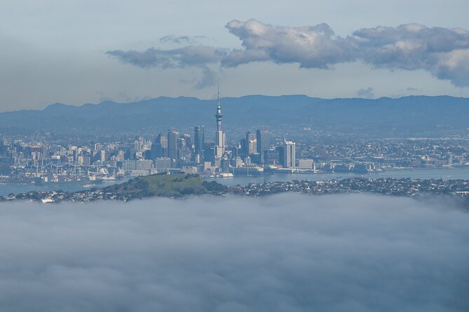 Auckland to Rangitoto Island Ferry - Walking from the wharf toward the summit