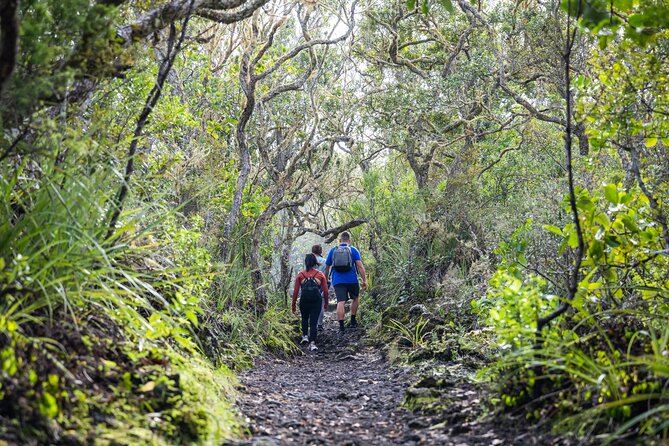 Auckland to Rangitoto Island Ferry - Who will get the best value from the $37.23 fare