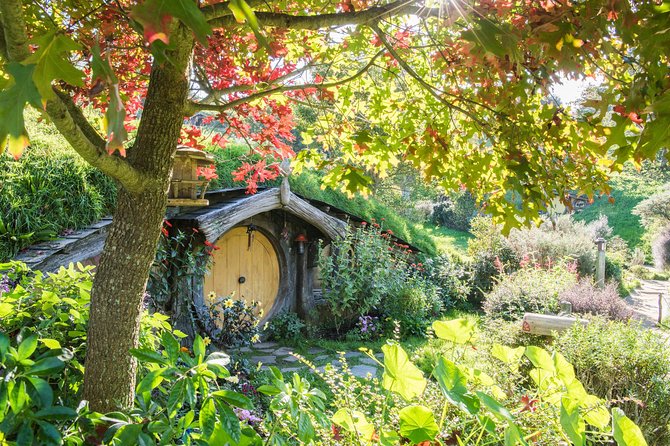 Auckland to Rotorua via Hobbiton Movie Set Tour - One Way - A drink at the Green Dragon Inn