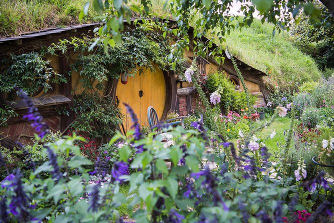 Auckland to Rotorua via Hobbiton Small Group Tour (One Way) - What the small-group format changes