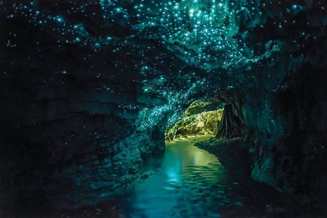 Auckland to Rotorua via Waitomo Caves Small Group Tour (One Way) - Leaving Auckland at 6:00 am