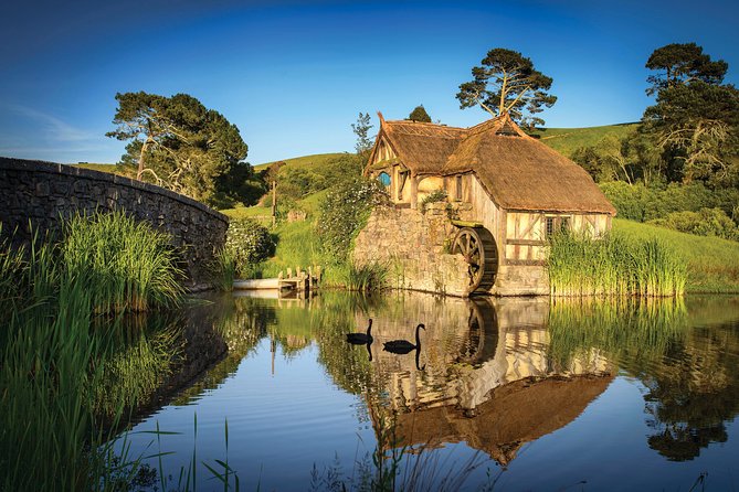Auckland to Waitomo Caves and Hobbiton Movie Set Private Tour - Entering the Waitomo Glowworm Caves
