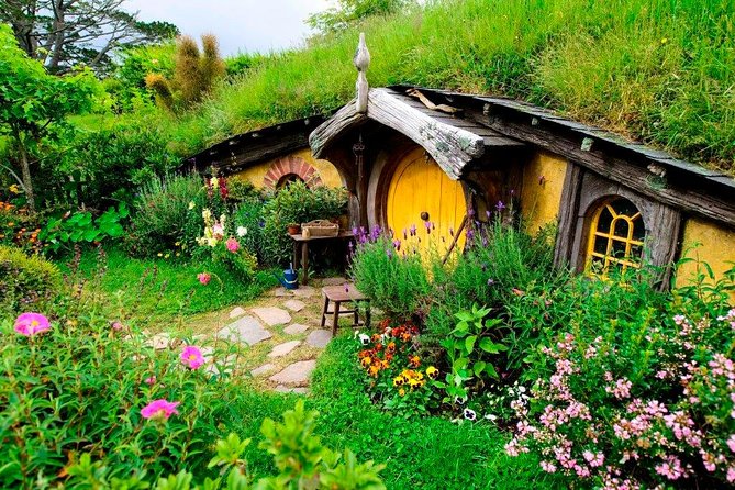 Auckland to Waitomo Caves and Hobbiton Movie Set Private Tour - Is $670.22 per person good value?