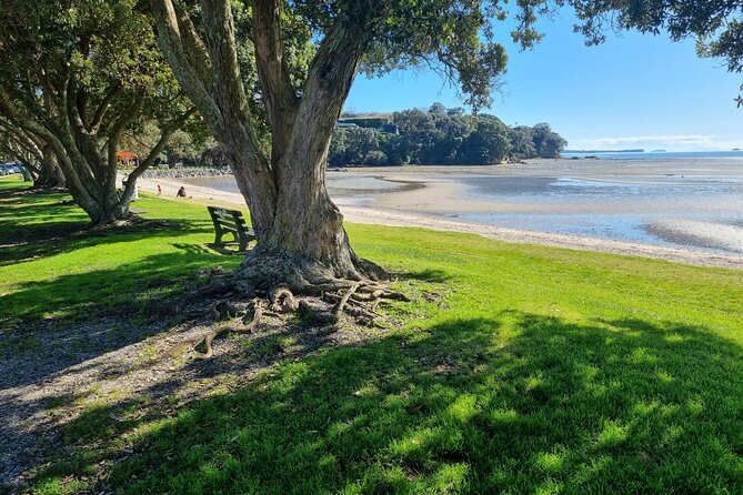Auckland Town and Country Delights Tour - Key points at a glance