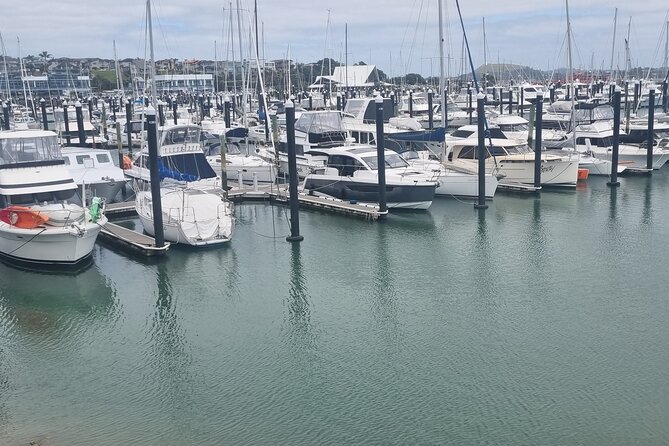 Auckland Town and Country Delights Tour - Rydges Formosa: lunch with wide views