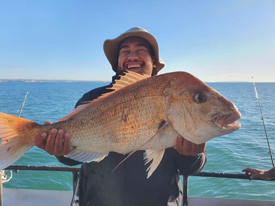 Auckland: Twilight Fishing Charter 5pm - 9:30pm - Why an evening on the Hauraki Gulf works
