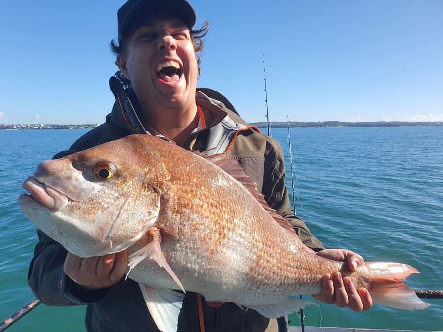 Auckland: Twilight Fishing Charter 5pm - 9:30pm - Setting out at 5:00 PM