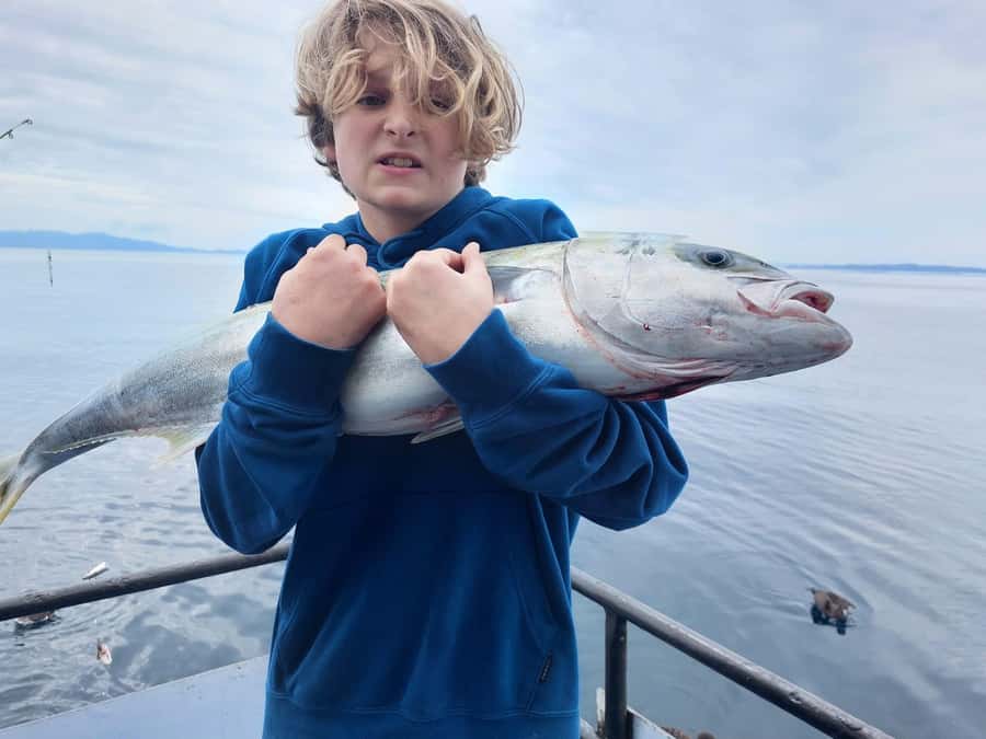 Auckland: Twilight Fishing Charter 5pm - 9:30pm - Rods, tackle, bait, and the chilly bin problem