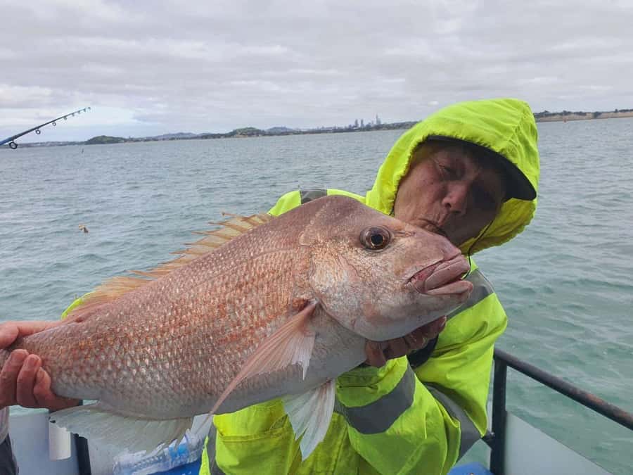 Auckland: Twilight Fishing Charter 5pm - 9:30pm - What the $40 price really gives you