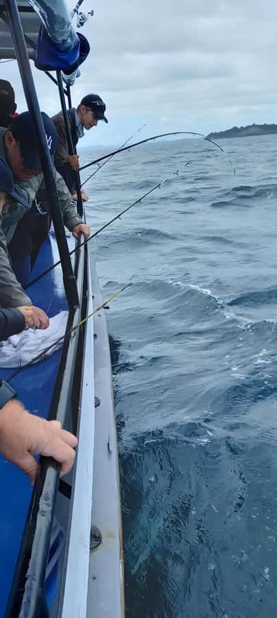 Auckland: Twilight Fishing Charter 5pm - 9:30pm - Practical plan for a better evening