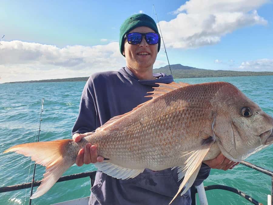Auckland: Twilight Fishing Charter 5pm - 9:30pm - Meeting at Z Pier in Westhaven Marina