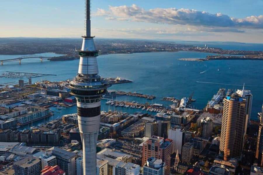 Auckland: Waiheke Island Wine and Food Tasting with Flights - Why this Waiheke trip feels different