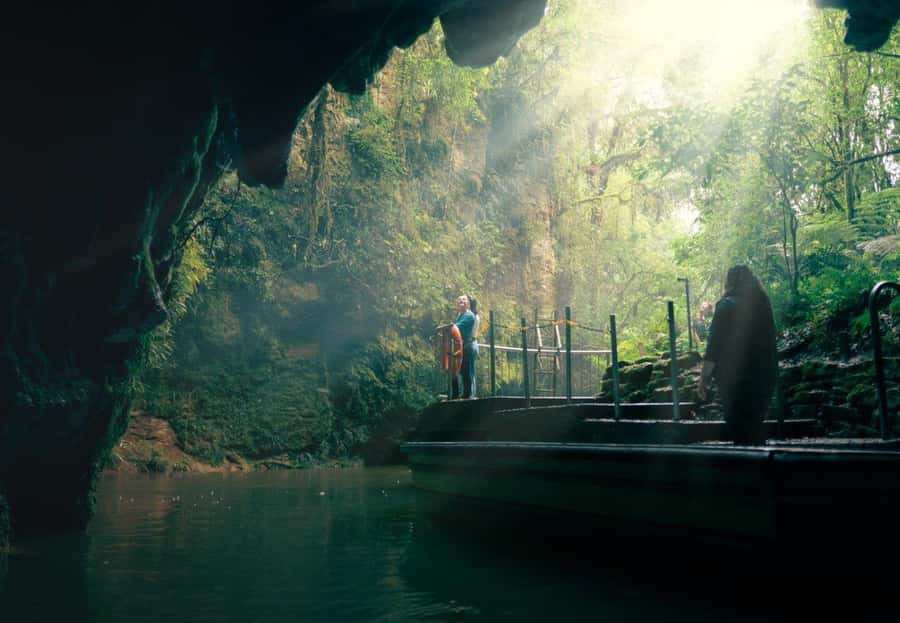 Auckland: Waitomo Caves & Rotorua - Te Puia Small-Group Tour - A full North Island day from Auckland