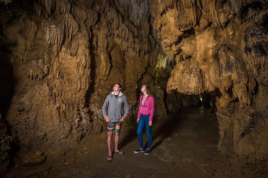 Auckland: Waitomo Caves & Rotorua - Te Puia Small-Group Tour - The lunch problem and what to pack