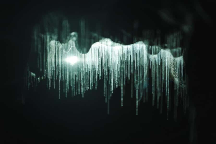 Auckland: Waitomo Caves & Rotorua - Te Puia Small-Group Tour - Is $244 a fair price?