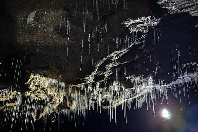 Auckland : Waitomo Spellbound Glow Worm Twin Caves Private Tour - Why the Auckland to Waitomo journey is part of the day