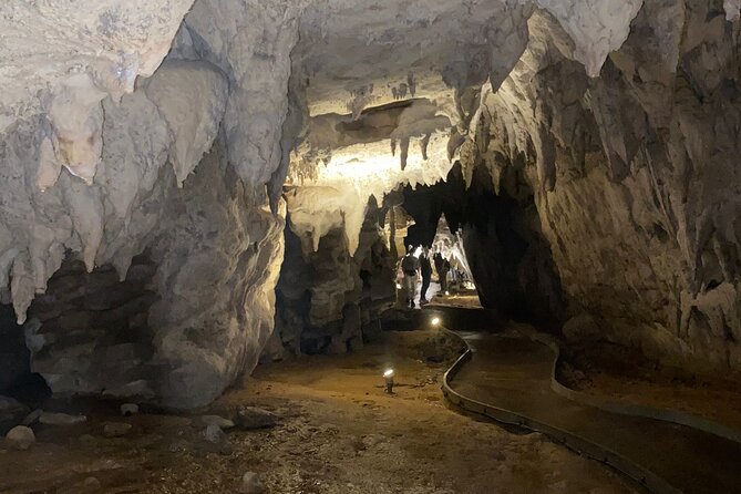 Auckland : Waitomo Spellbound Glow Worm Twin Caves Private Tour - Te Ana o Te Atua, the Cave of the Spirit