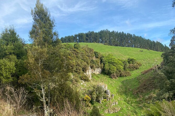 Auckland : Waitomo Spellbound Glow Worm Twin Caves Private Tour - What the private format really gives you