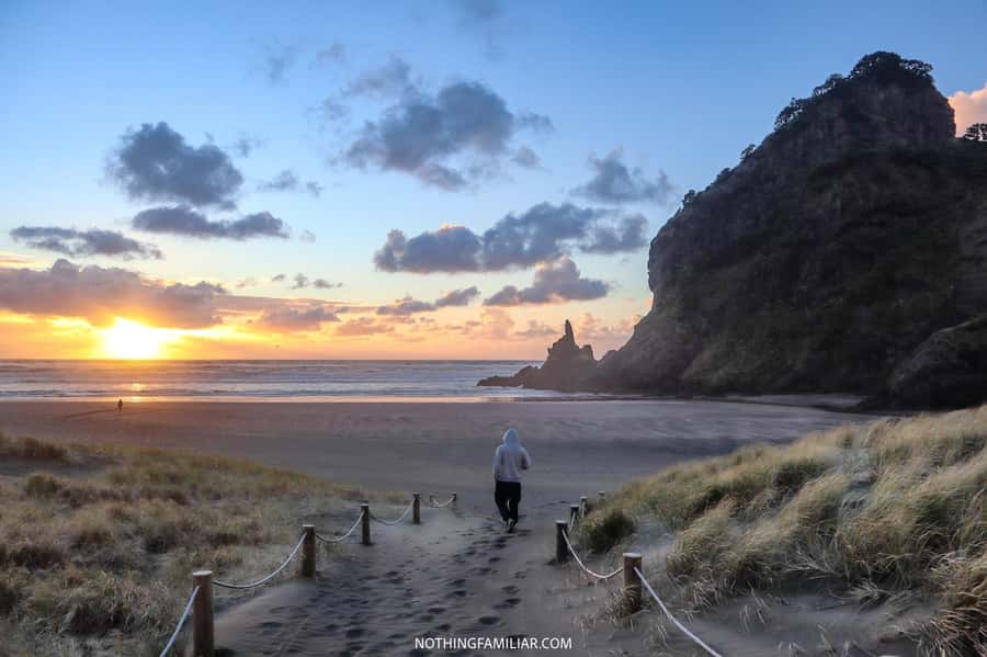 Auckland: West Coast Discovery - Arataki Visitor Centre and the Māori connection