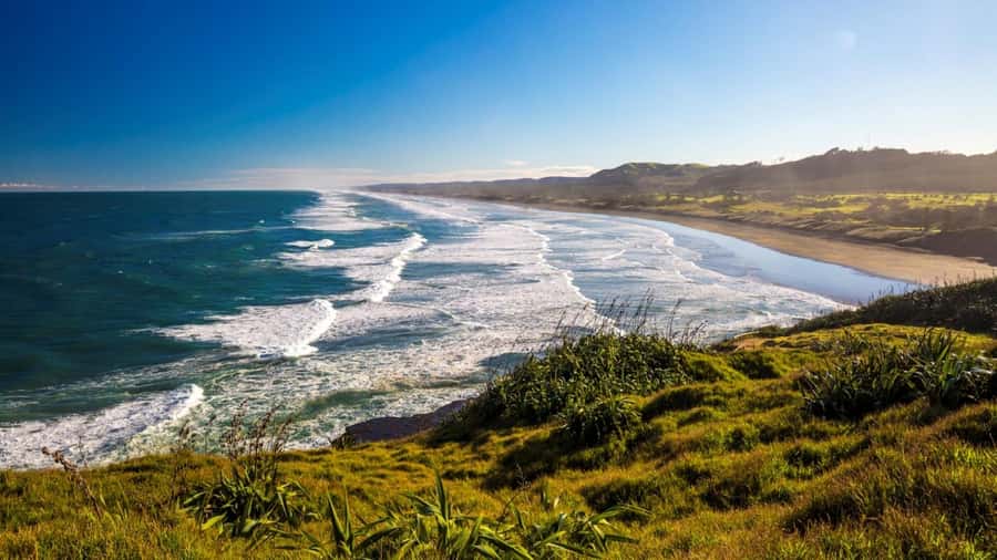 Auckland: West Coast Discovery - Leaving Auckland through the Waitakere Ranges