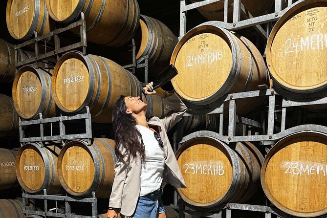 Auckland West Vineyard Tour with lunch and tastings incl - Why West Auckland makes a good wine day