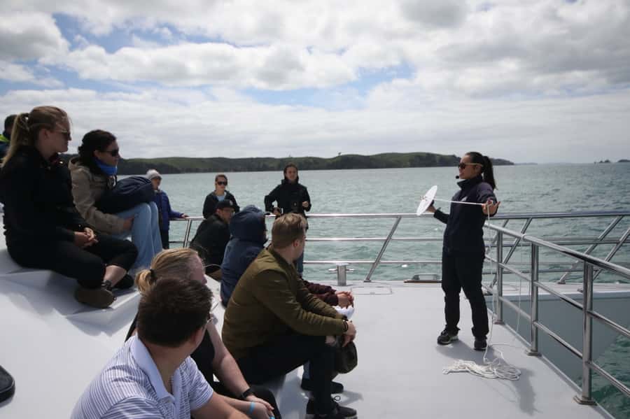 Auckland: Whale and Dolphin Watching Half-Day Eco Cruise - Leaving Auckland on the Dolphin Explorer