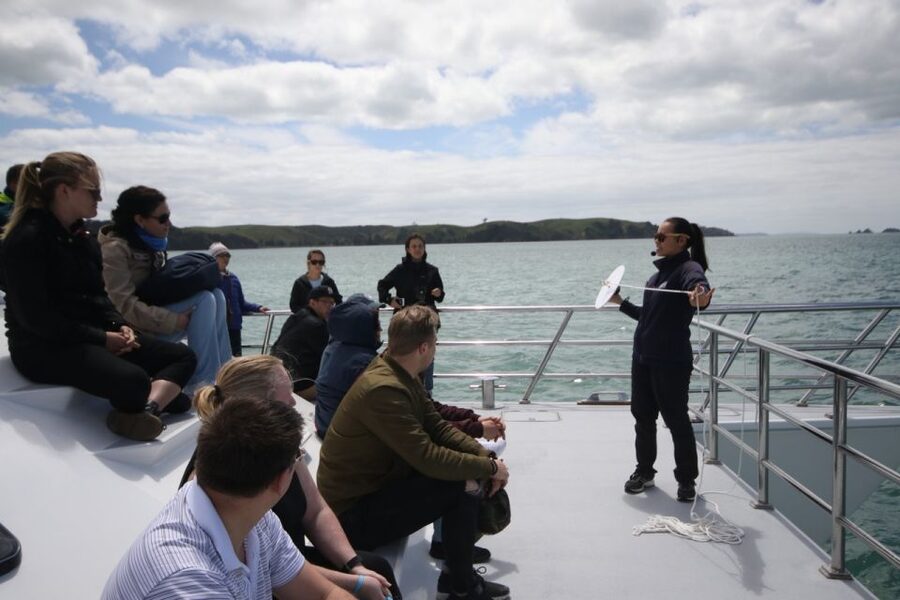 Auckland: Whale and Dolphin Watching Half-Day Eco Cruise - What happens when whales do not appear