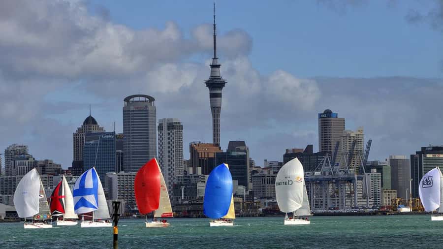 Auckland: Wild West Coast, Black Sand Beaches Tour inc Lunch - Crossing the Harbour Bridge into Auckland’s North Shore