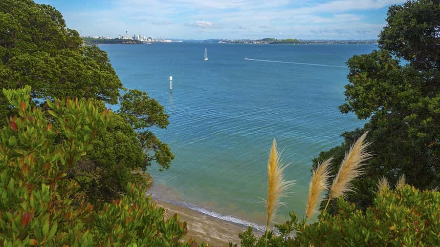 Auckland: Wild West Coast, Black Sand Beaches Tour inc Lunch - A short look at Devonport before the return