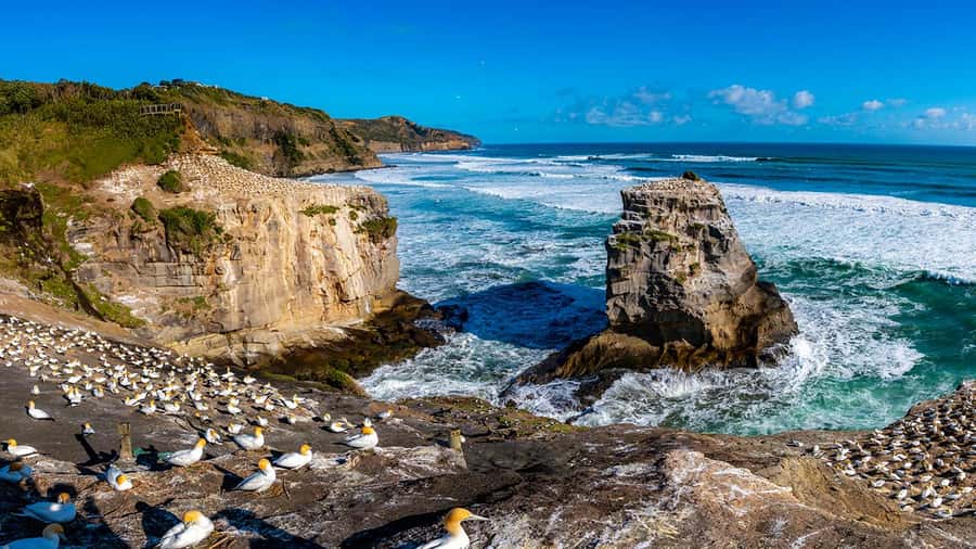 Auckland: Wild West Coast, Black Sand Beaches Tour inc Lunch - Hallertau Brewery turns lunch into part of the trip