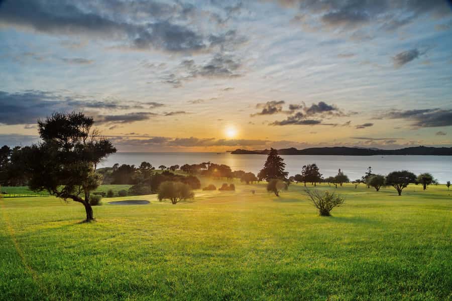 Bay of Islands: 1 Hour Scenic Bay of Islands Tour - Timing, pickup, and cruise-day planning