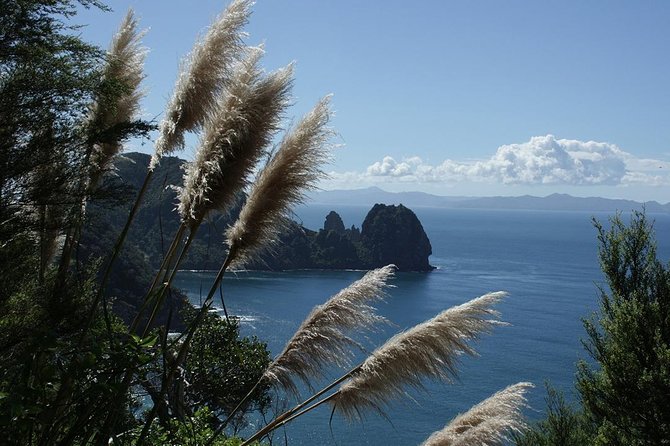 Bay of Islands 2-Day Small Group Tour & Cruise from Auckland - Cruising the Bay of Islands