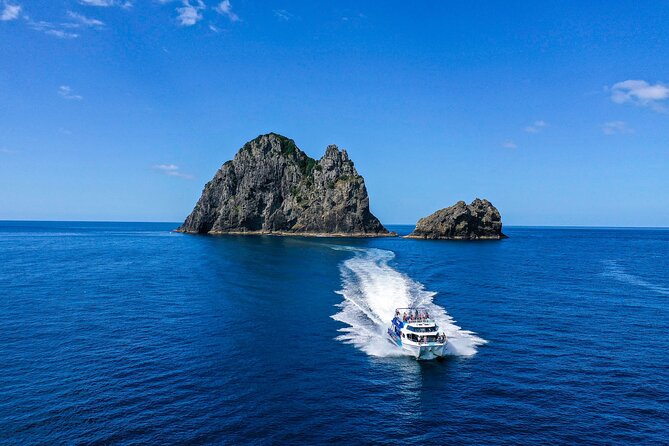 Bay of Islands 2-Day Small Group Tour & Cruise from Auckland - The Kauri Museum and the road north