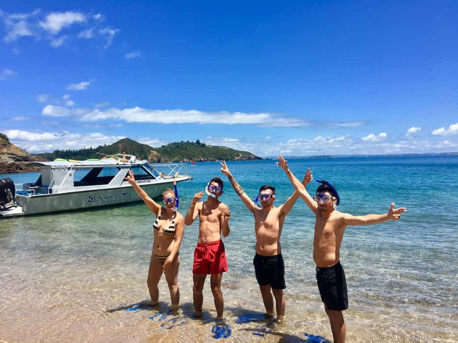 Bay of Islands: 4.5 Hour Day Cruise and Island Getaway Tour - Key points to know before you book