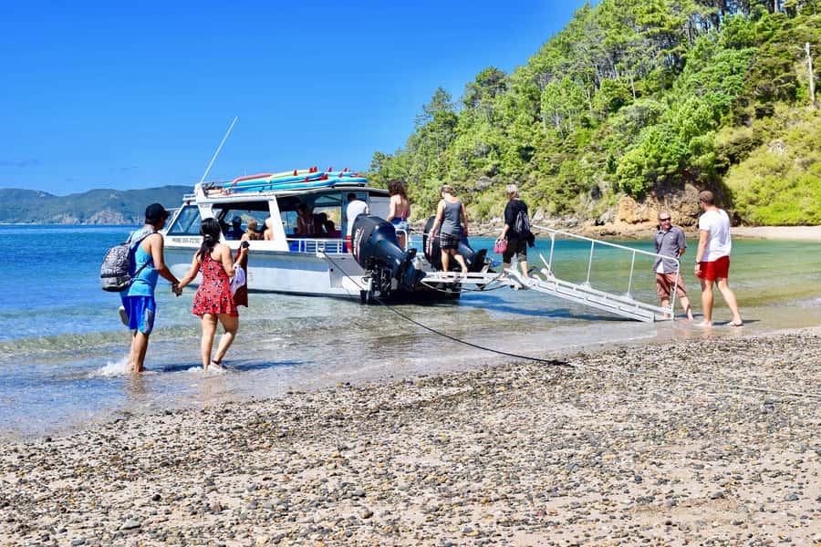 Bay of Islands: 4.5 Hour Day Cruise and Island Getaway Tour - A fast, friendly way to see the Bay of Islands