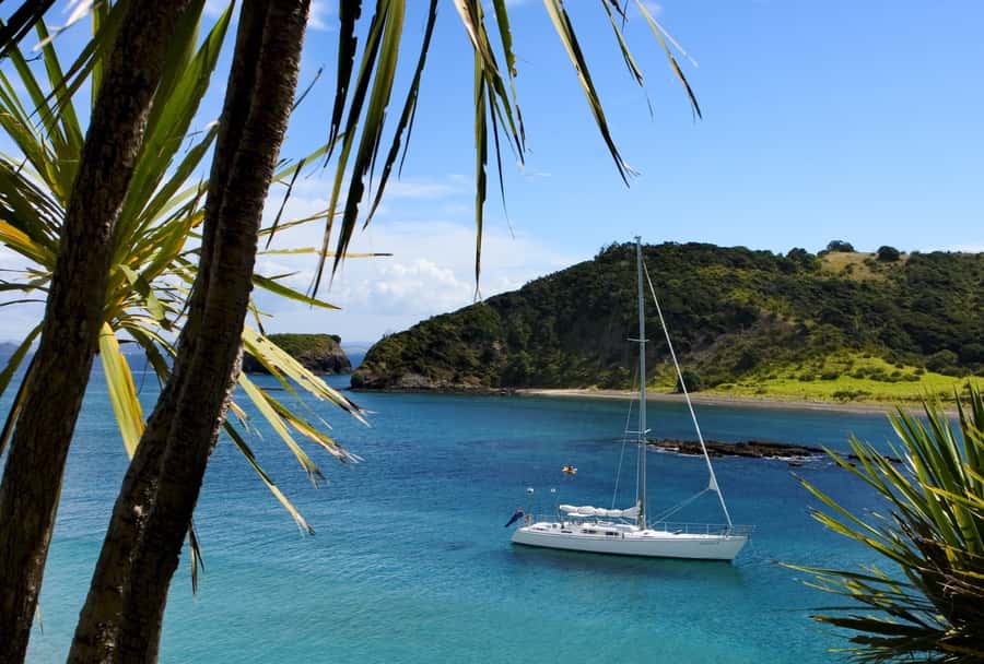 Bay of Islands: Awesome Day Sailing Tour with Island Stop - Wildlife watching without a guarantee
