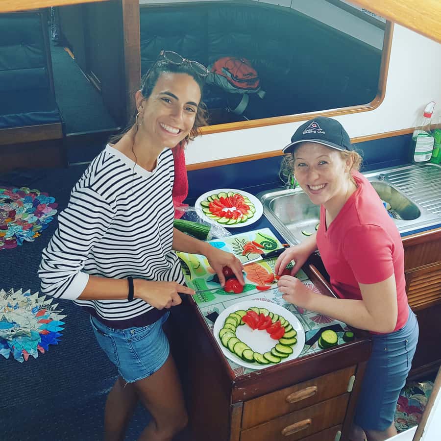 Bay of Islands: Awesome Day Sailing Tour with Island Stop - Who should book this day on the Bay