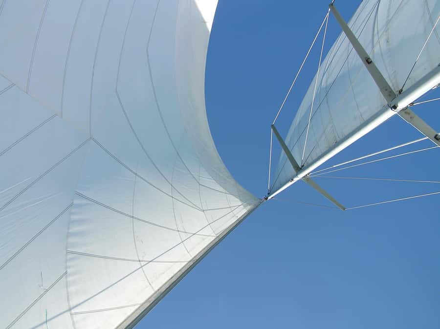 Bay of Islands: Awesome Day Sailing Tour with Island Stop - Sailing past lava flows, caves, and island country