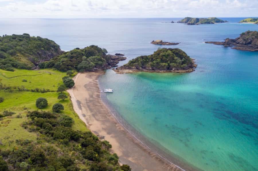 Bay of Islands: Catamaran Sail, Wildlife Island & Lunch - Should you book it?