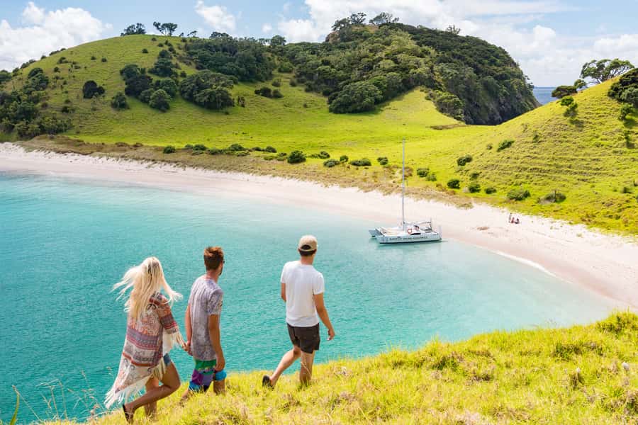 Bay of Islands: Catamaran Sail, Wildlife Island & Lunch - What the Bay of Islands looks like from the deck