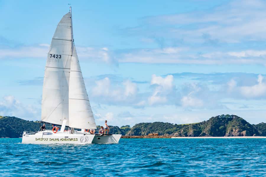 Bay of Islands: Catamaran Sail, Wildlife Island & Lunch - Lunch, morning tea, and the small touches