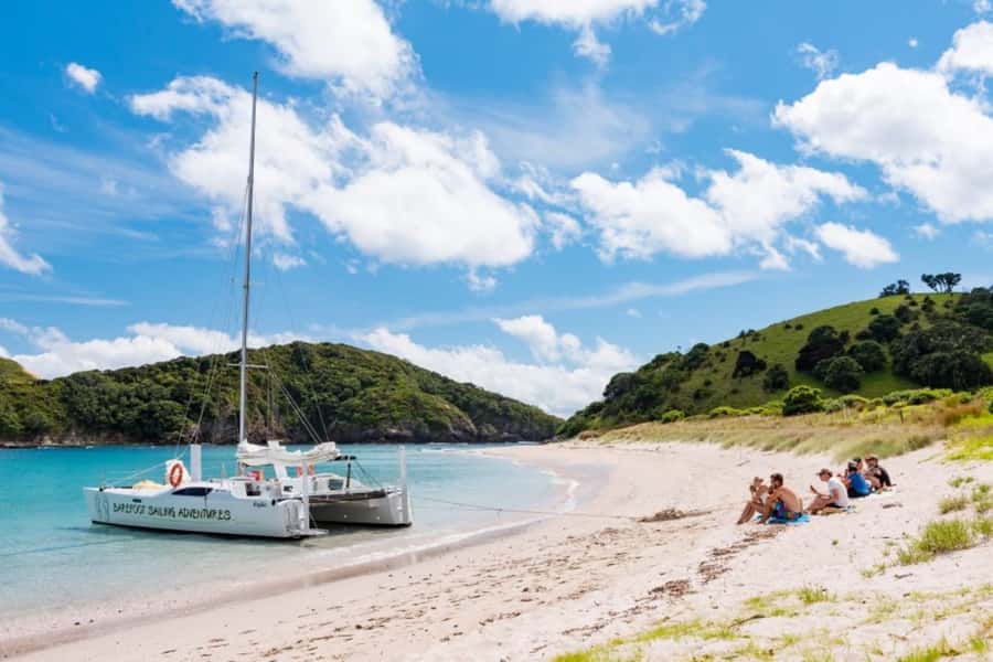 Bay of Islands: Catamaran Sail, Wildlife Island & Lunch - How active is the island adventure?